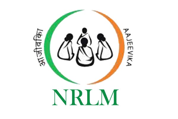 NRLM Partner